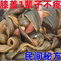 Pain on knee joint pain artifact semi-moonboard damage repair plate plate for plaster coating membrane hydrolytic leg pain special medicine