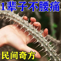 Low pain special medicine lumbar pain plaster pressure nerve pain leg pain pain medicine lumbar pain plaster