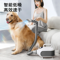 Pet blower household large dog bath high power hair dryer cat dog silent drying hair artifact