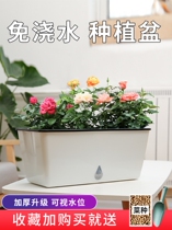 Indoor Seed Vegetable Special Case Home Seed Flower Fencing Balcony Outdoor Vegetable Planting Theorizer Rooftop Special Planting Box