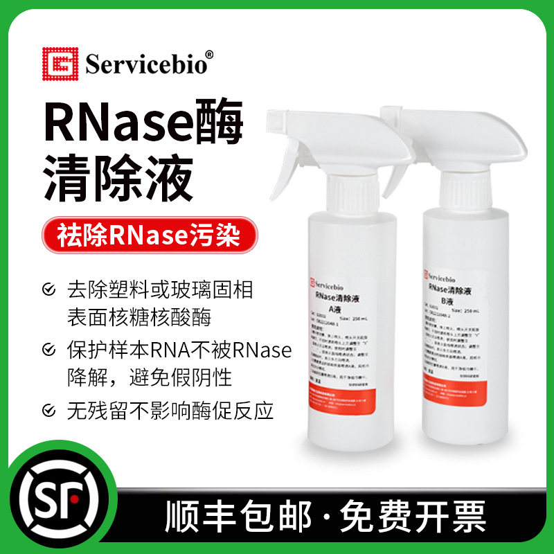 赛维尔 RNase清除液 核糖核酸酶清除剂 保护样本 避免假阴性