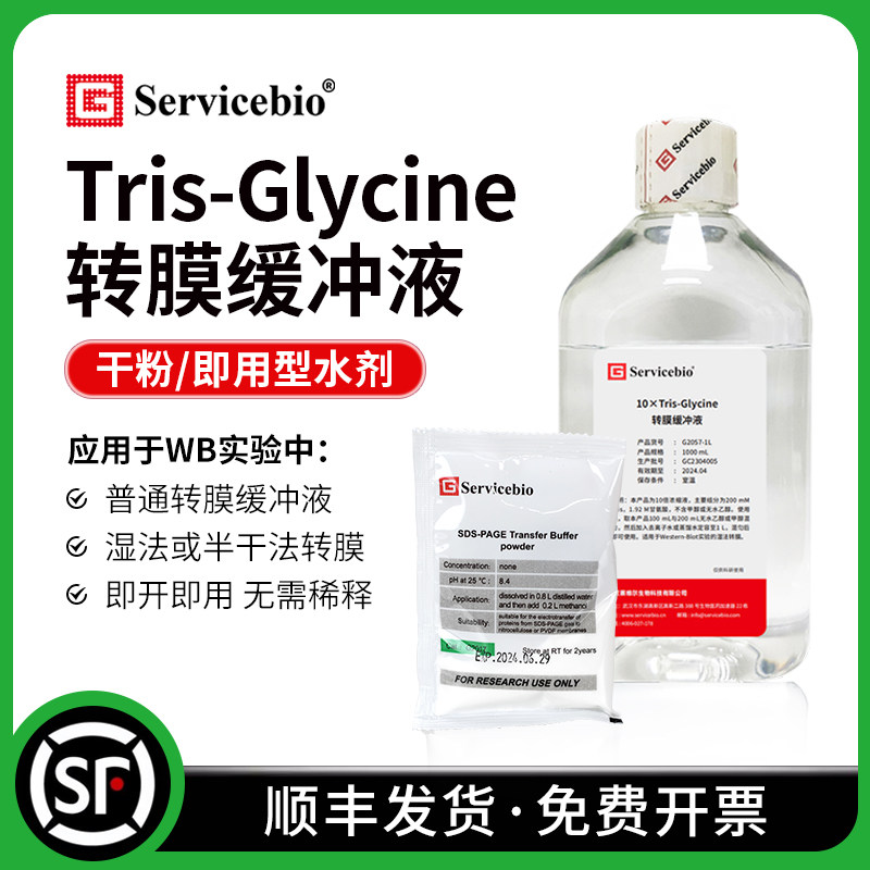 Tris-Glycine 普通转膜缓冲液 干粉/水剂 WB湿法转膜转印G2017-1L