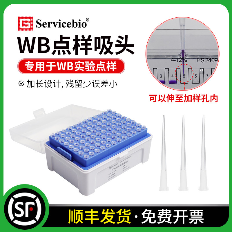 赛维尔 WB点样吸头 凝胶加样吸头 电泳上样吸头10ul200ul加长盒装