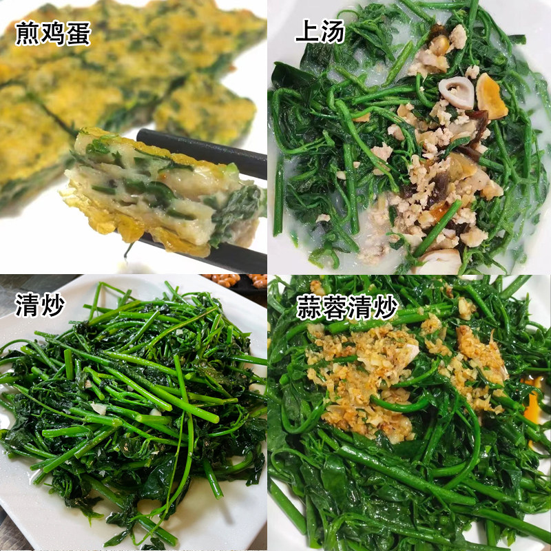 广东海南树仔菜五指山野菜:天然美味,来自大自然的馈赠🌿-叶菜类-淘宝百科网