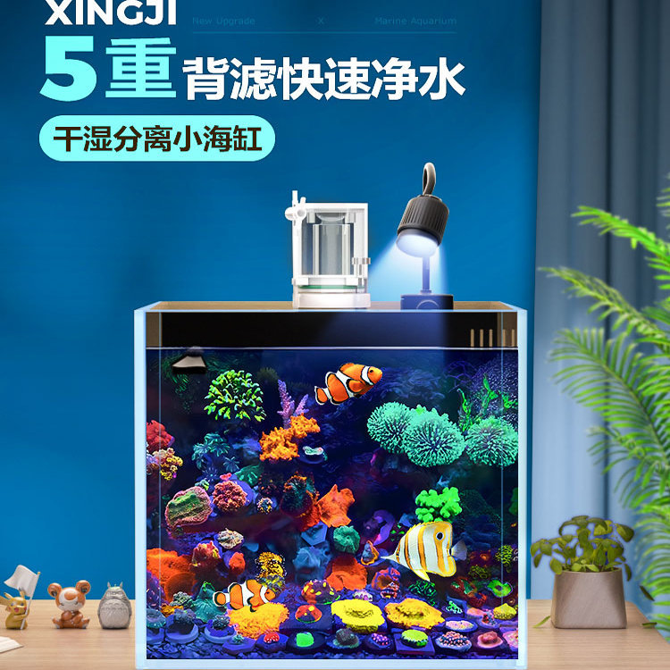 Backfilter Saltwater Tank Complete Set of Equipment, Small Desktop Coral Landscaping Square Tank, Ultra-White Glass Clownfish Aquarium Backfilter Saltwater Tank Complete Set of Equipment, Small Desktop Coral Landscaping Square Tank, Ultra-White Glass Clownfish Aquarium