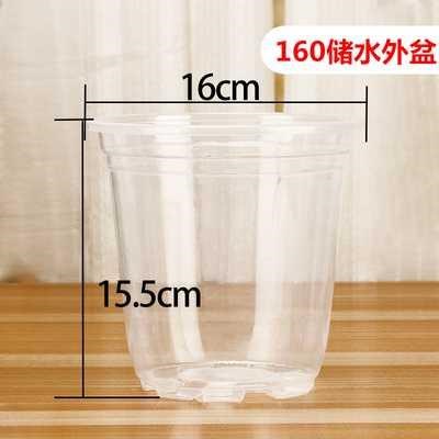 Flower pot automatic water-absorbing green radish water storage basin plastic transparent cover coat hydroponic water-free water storage base