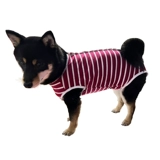 Физиологические штаны для любителей собаки Тедди менструальные брюки против харассии брюки с защитой от прятки