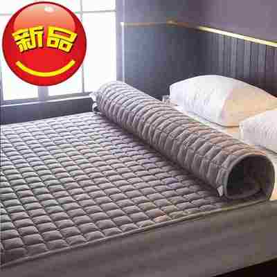 New product free shipping size white simple e winter mattress mattress meter person one meter children's bedding feather velvet tat