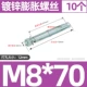 M8*70 (10)