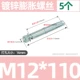 M12*110 (5)