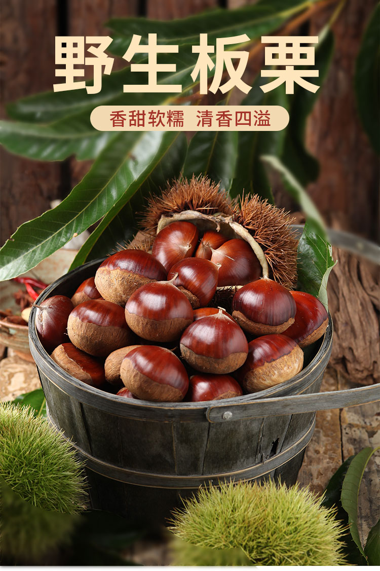 白菜价!新下树无污染野生板栗:500g 繁沐司 丹东栗子 3.8元起包邮,送剥栗器 值值值-买手聚集的地方