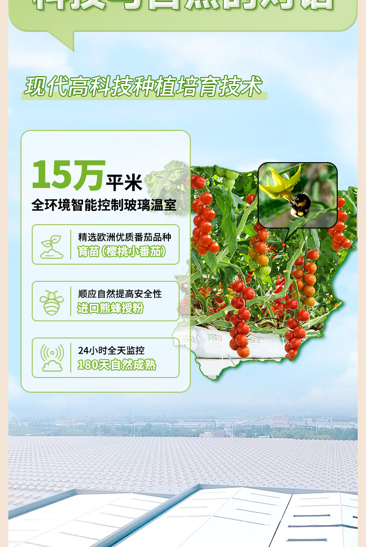 安享好物 安享S级混合果蔬汁-杜氏NFC番茄汁 国标 