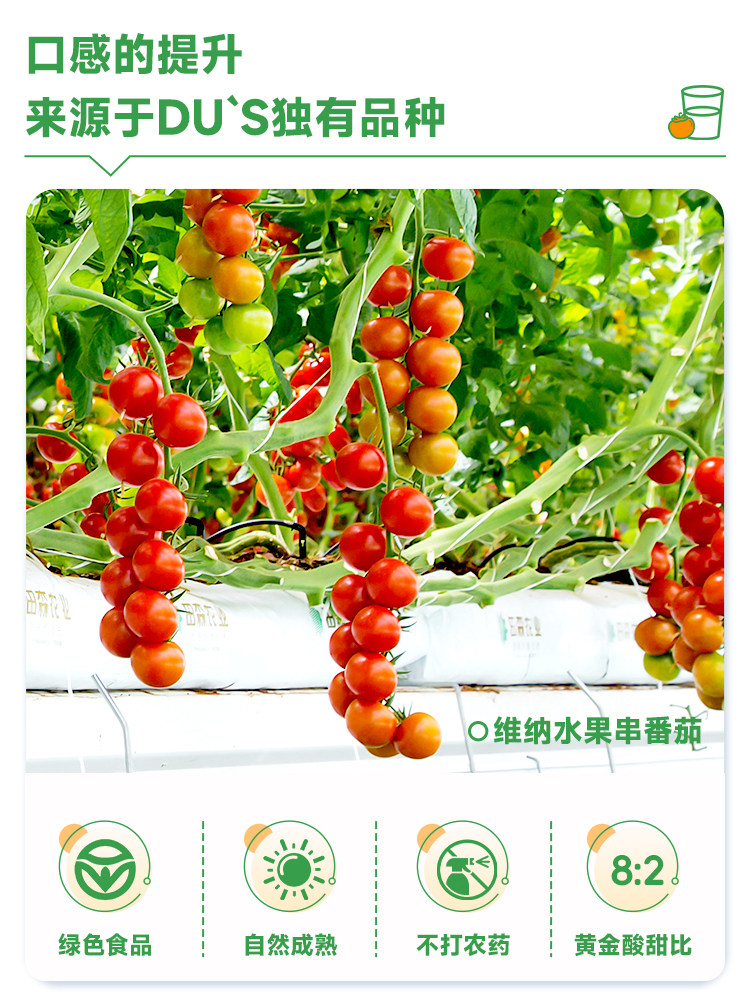 安享好物 安享S级混合果蔬汁-杜氏NFC番茄汁 国标 