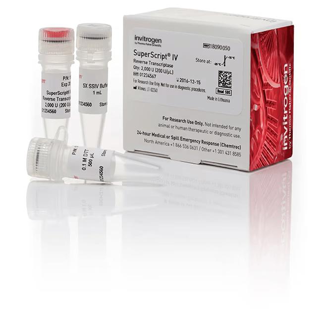 Invitrogen SuperScript II III IV 反转录酶 18090050 18064014