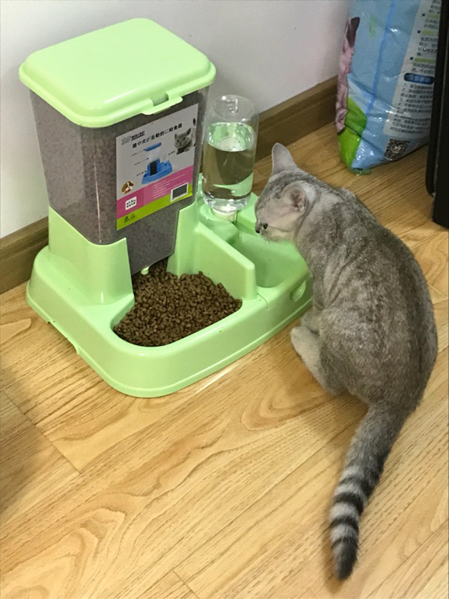 Cat Supplies Automatic Feeding Machines Cat Bowls Buffet Pets Drinking Water Pitcher Dog Bowls Dog Supplies