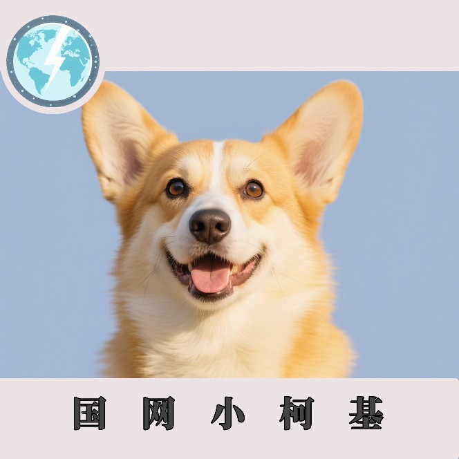 国网小柯基  国网考试资料