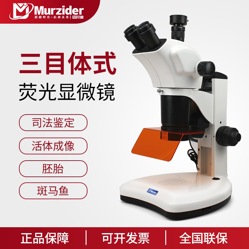 Murzider迈时迪三目体视荧光显微镜MSD540连续变倍光学落射照明四个波段生物医学司法鉴定看斑马鱼胚胎线虫