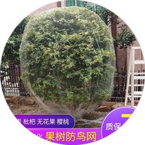 Fruit Tree Sparing Nestle Nets Bird-proof nets Carabao Fruit loquat cherry Orchard Nylon Protective Screen Cuisine Terrace Protection Cover