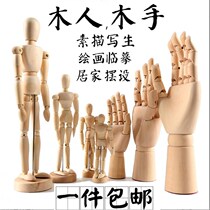 Human model simulation of movable pendulum piece painting auxiliary human puppet drawing joint doll multi-joint movable reference