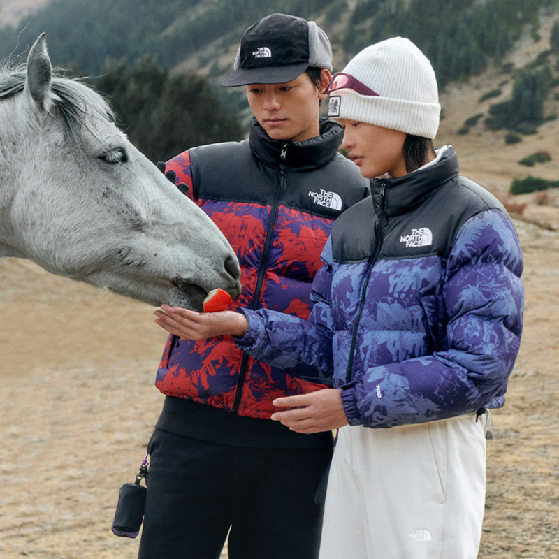 New Year of the Horse the North Face Icon Women's Outdoor Nuptse Short Water-Repellent down Jacket 8D33 New Year of the Horse the North Face Icon Women's Outdoor Nuptse Short Water-Repellent down Jacket 8D33