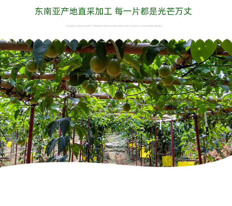 山果夫 芒果干 50g*2袋+120g 图12