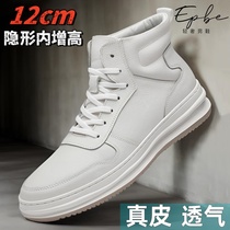 Autumn invisible inner height-increasing mens shoes 12cm small size thick-soled high-top student casual sports first-layer cowhide white shoes