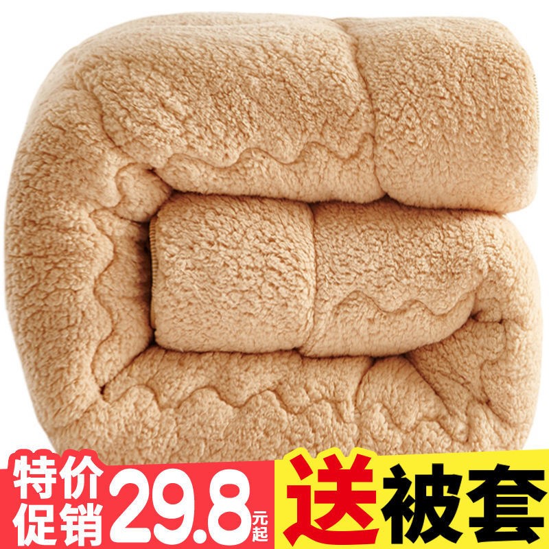 (send quilt cover) quilted cotton quilted by winter quilted quilted by core single bedding, warm spring autumn and winter quilted by double mat