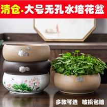 Tube money grass basin copper money grass flowerpot large diameter hydroponic wide mouth 2021 new living room large net red creative ceramics