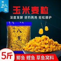 5 Catfish Bait Fishing Corn Wheat Grain Beat Nest Stock Carp Nest Stock Wild Fishing Grass Carp Bait Bottom Nest 400 gr