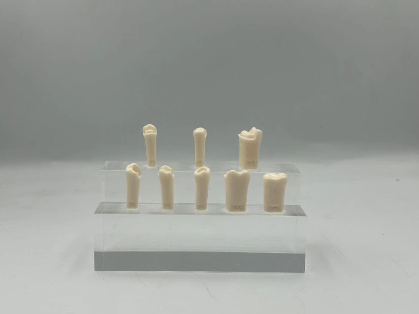 口腔补牙模型牙科练习树脂块儿练习补牙根管填充嵌体补牙练习模型