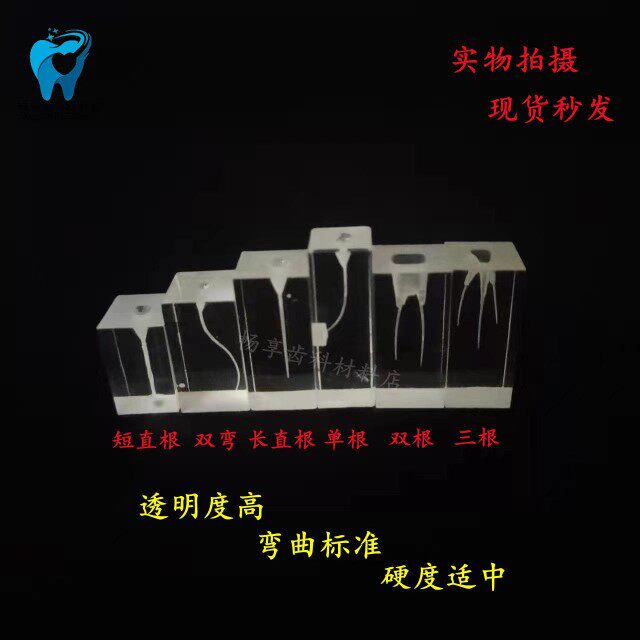 牙科根管练习模块 牙体牙髓透明根管预备充填修复根管模型