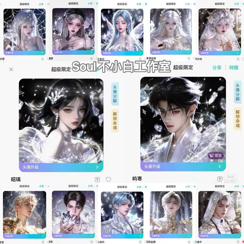 Soul Avatar Soul Dynamic Avatar Soul Super Limited Edition Avatar
