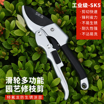 Cut Branches tree pruner Prunes Scissors Gardening garden landscaped prunes with powerful shears of powerful clippings Flowers Sheared Scissors