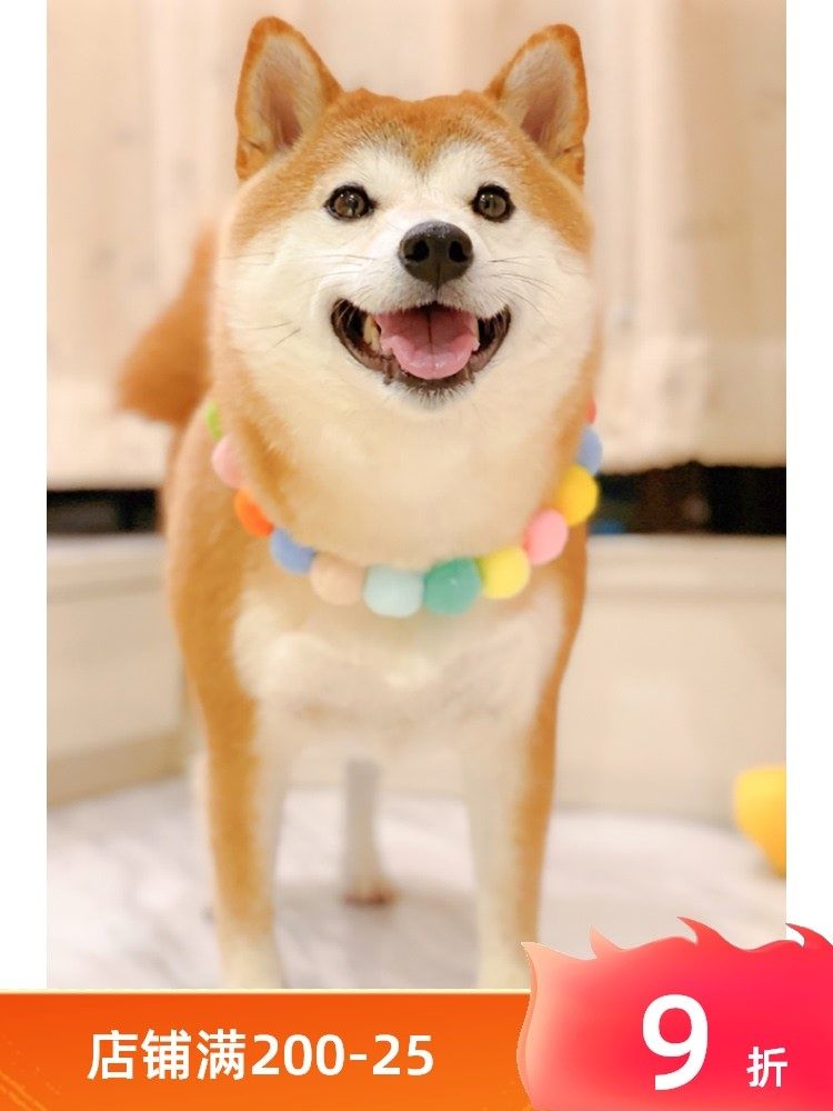 Small and medium dog collar colored hair ball collar decoration products cute Chai Dog Keji Net red photo pet accessories