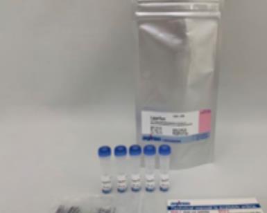 Dojindo 细胞脂质过氧化物（铁死亡）检测试剂盒 50ug