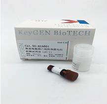 KeyGEN 细胞凋亡线粒体膜电位检测试剂盒（JC-1）20T