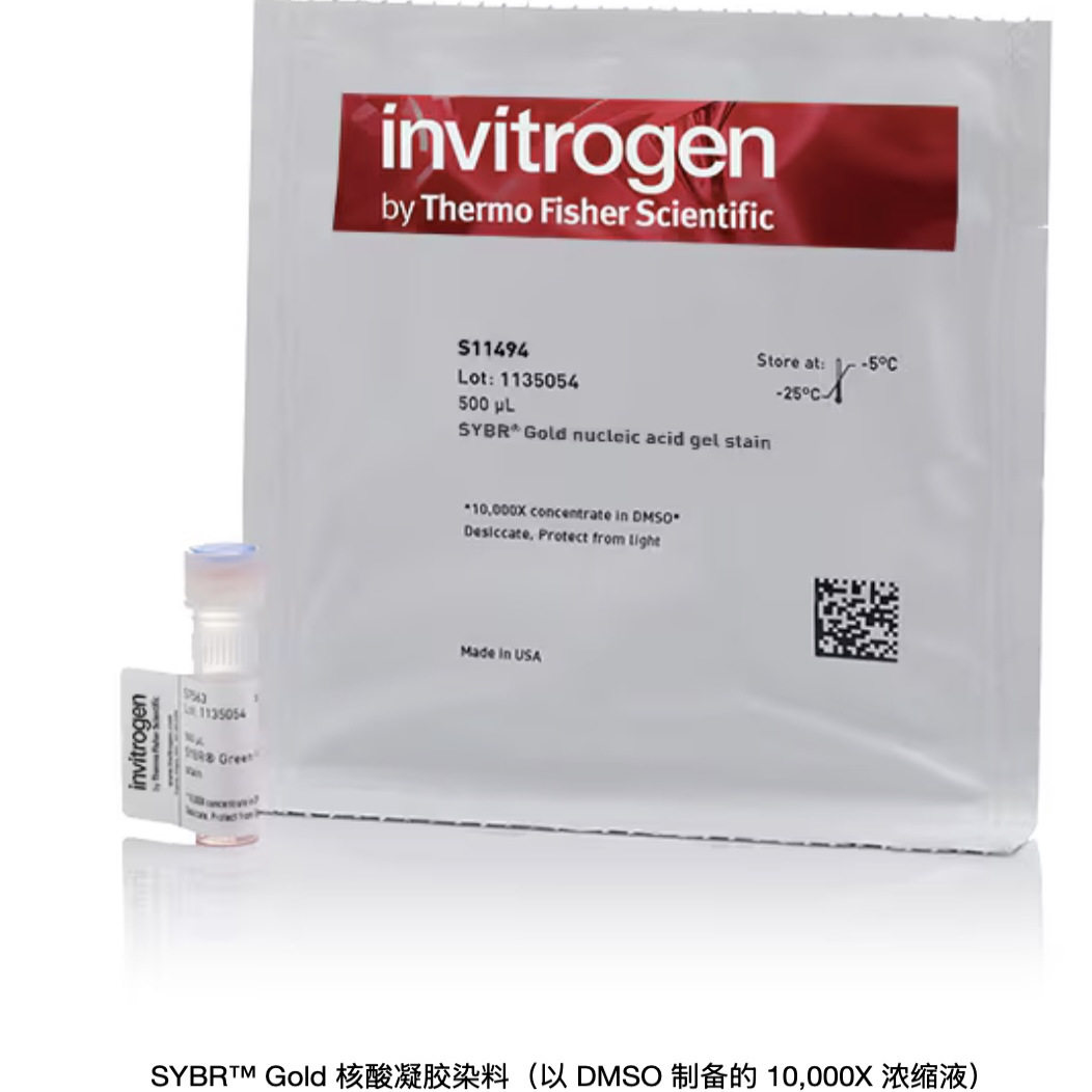 Invitrogen  SYBR Gold 核酸凝胶染料 500ul