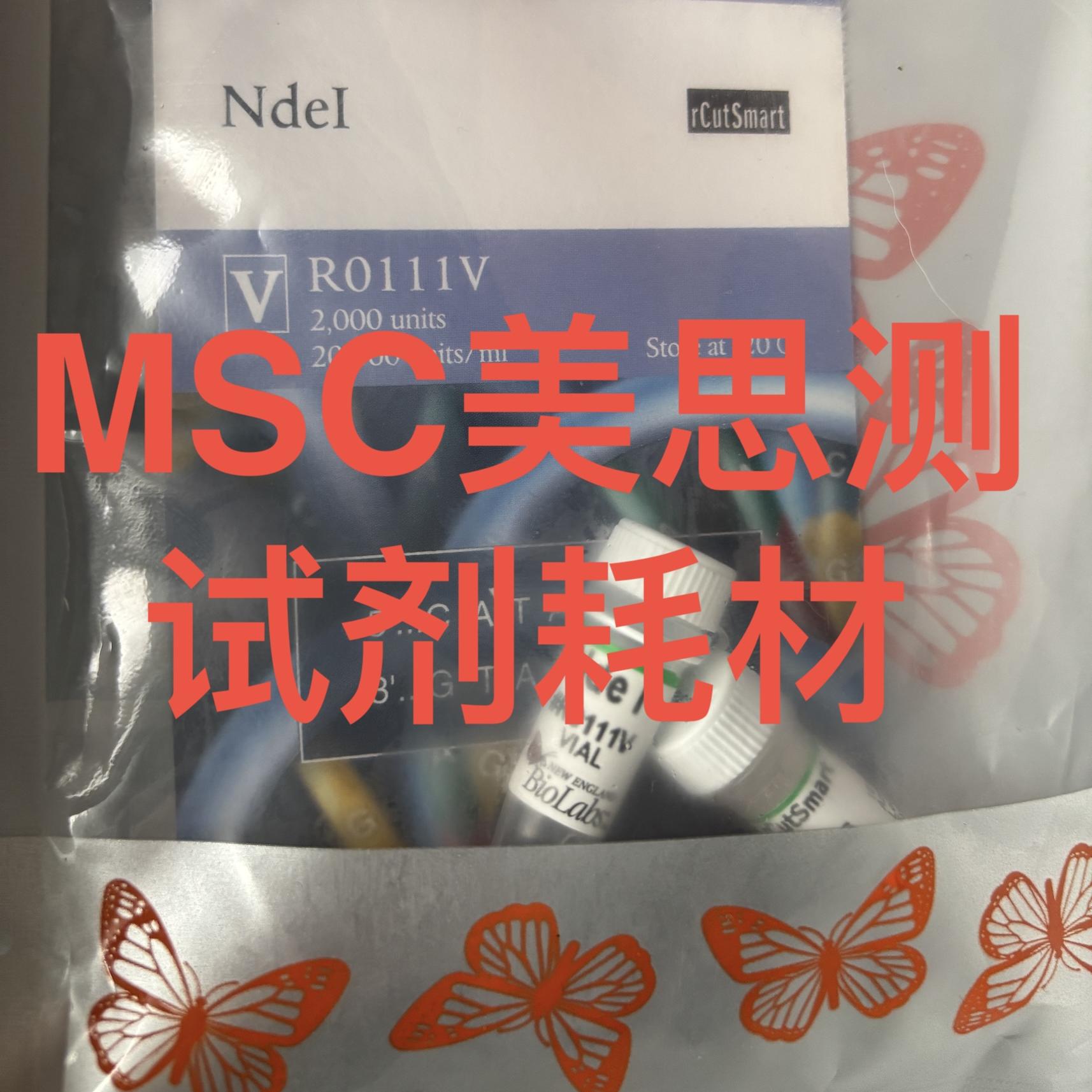 NEB NdeI限制性内切酶 R0111V