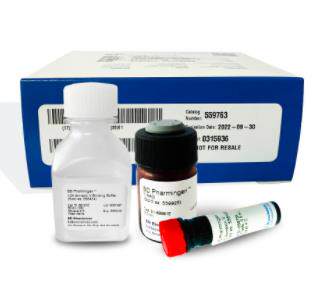 BD Pharmingen Annexin V-PE 细胞凋亡检测试剂盒 559763