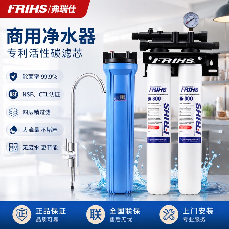 Frihs/Fresh Single and Double Water Purifiers for Kitchen Commercial Use, Tap Water Filter for Direct Drinking Water Purifier