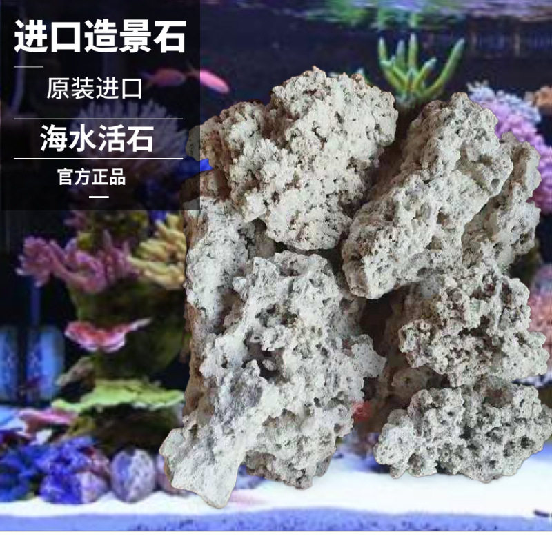 Vastocean, Java Island, Indonesia