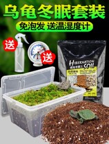 Turtle Winter Sleeping Earth Nest Sand Earth Box Special Reptile Supplies Rearing Box Basil Turtle Grass Turtle Villa small house Coconut Clay