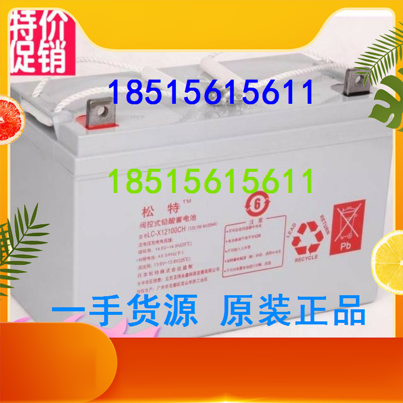 Original Japan Songte battery 12V100AH ​​three-year warranty UPS power supply dedicated LC-X12100CH