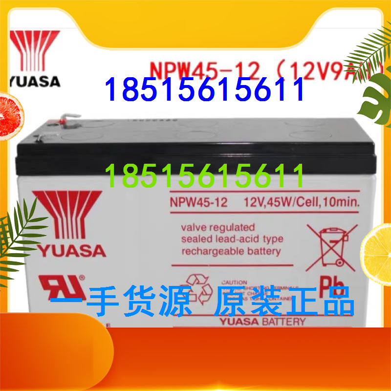 Yuasa YUASA battery NPW45-12 (12V9AH) 12V 45W Cell 10min special offer