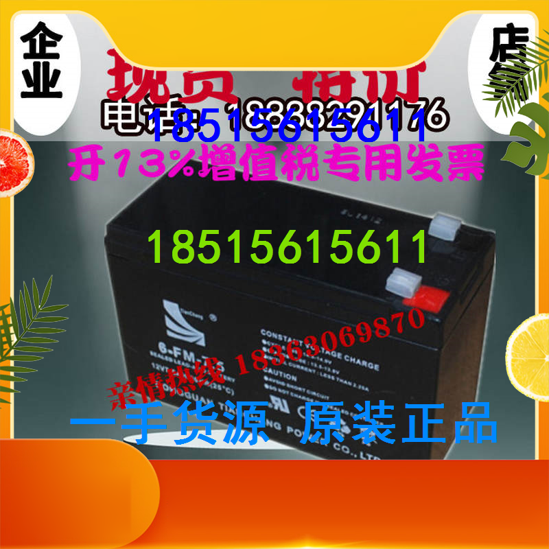 Sail 6-FM-7 5 Battery Access Control Elevator Export Trade Rolling Door Sprayer 12V7 5AH