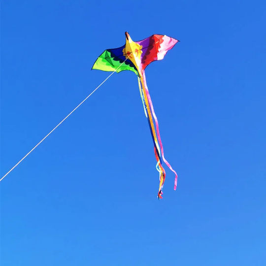 凤凰大号风筝儿童微风易飞大型立体高端风筝大人专用2023年新款