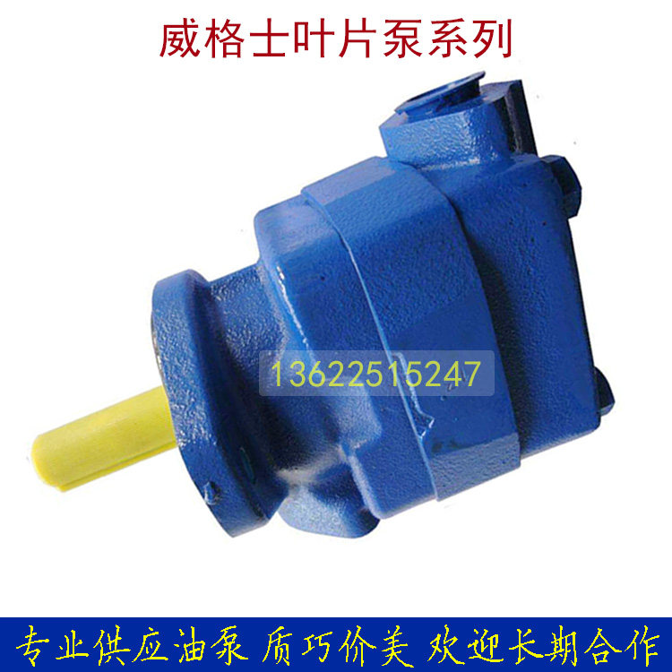 Injection molding machine VICKERS hydraulic pump Pupu V20-1P6P-1C20 vane pump V20-1P7P-1C20 spot