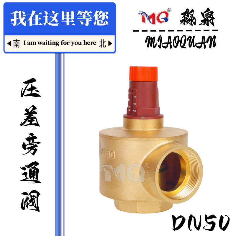 Expansion tank pressure tank pressure differential by-pass valve Automatic water replenishing valve relief valve adjustable pressure stabilization 100LDN25-Taobao