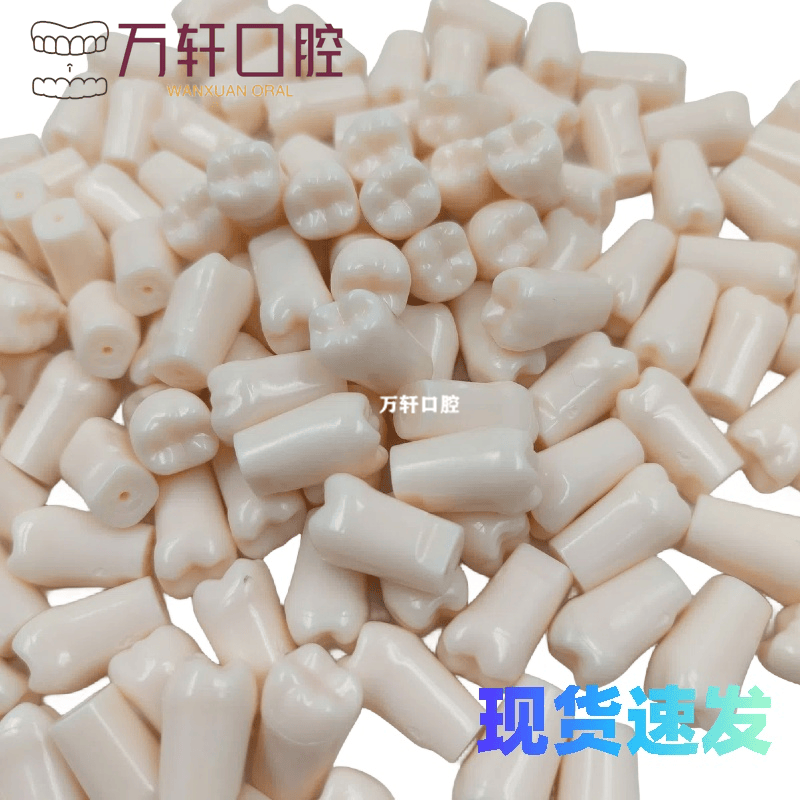 牙科练习牙粒仿真树脂牙粒离体牙备牙练习树脂散牙齿备牙模型包邮