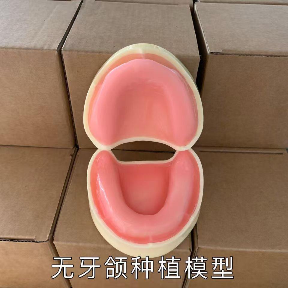 牙齿牙科种植练习模型无牙颌款树脂口腔牙科医生教学模具仿真模拟